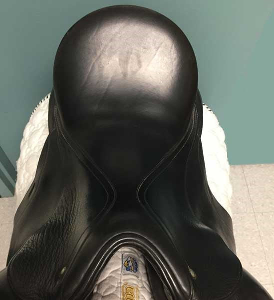 Used Schleese Infinity Dressage Saddle