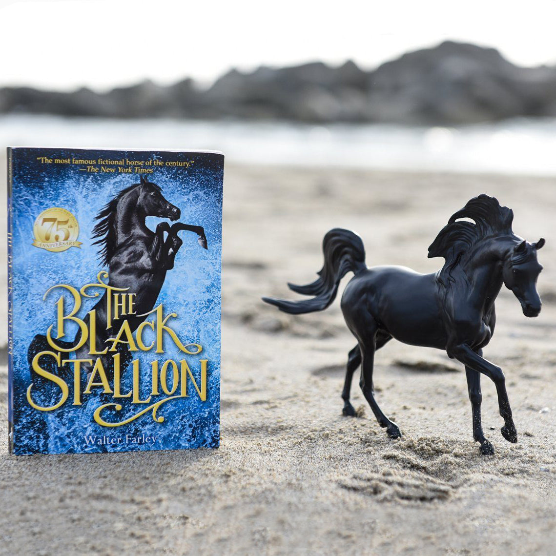 Breyer Classics Black Stallion Horse & Book Set