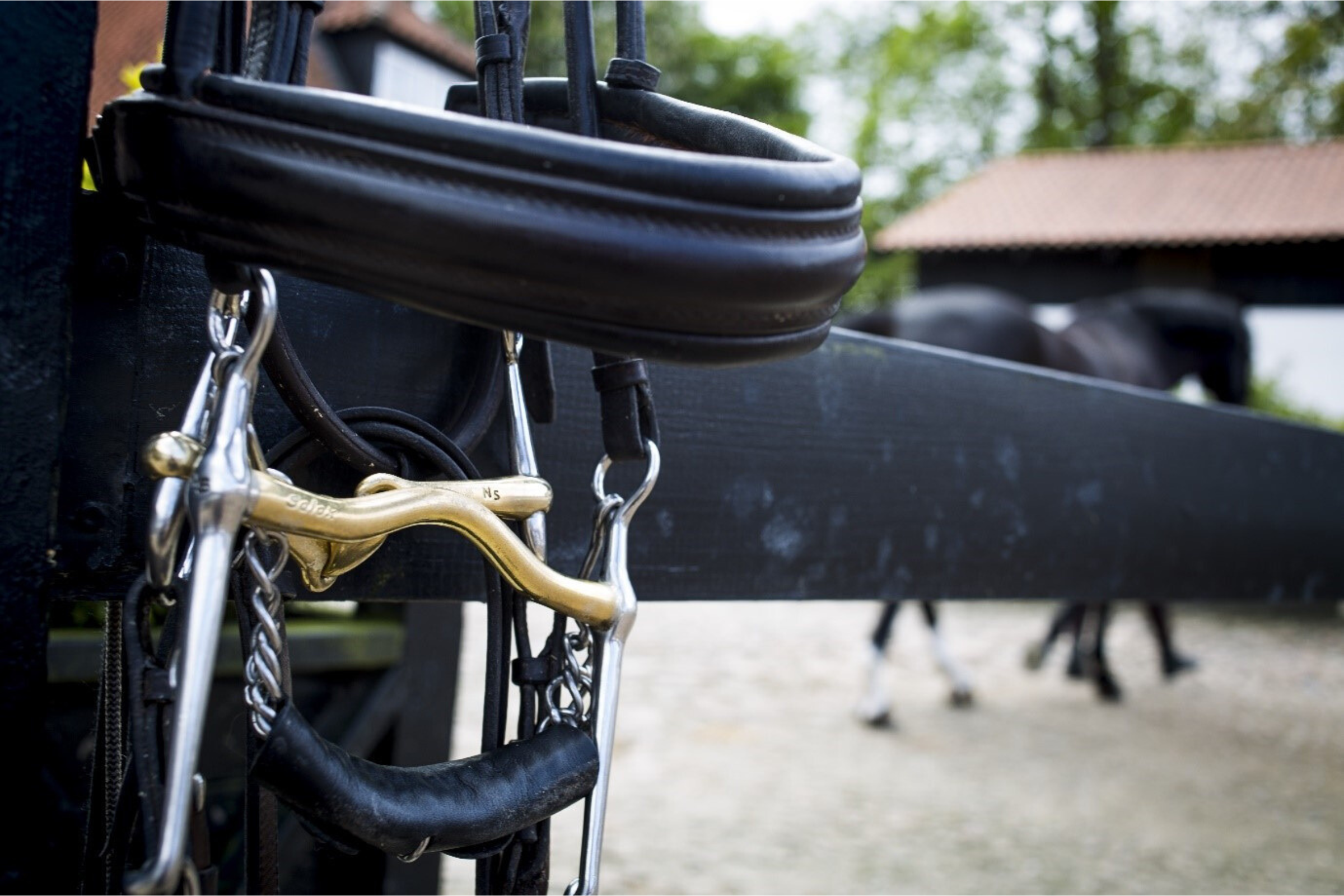 Neue Schule