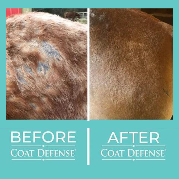 Coat Defense Daily Preventative Powder, 8 oz