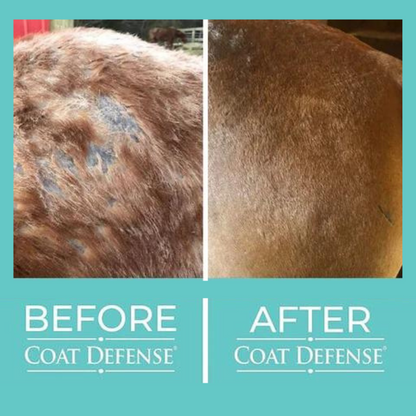 Coat Defense Daily Preventative Powder, 8 oz