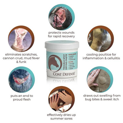 Coat Defense Heal &amp; Prevent Package, Travel Size