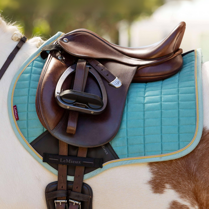 Close up image of a pony wearing LeMieux&