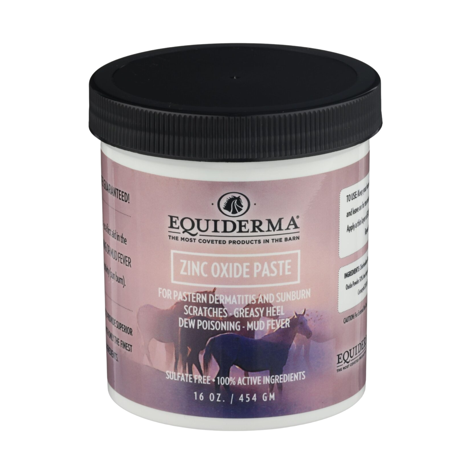Equiderma Zinc Oxide Paste, 16 oz