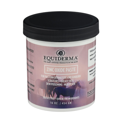 Equiderma Zinc Oxide Paste, 16 oz
