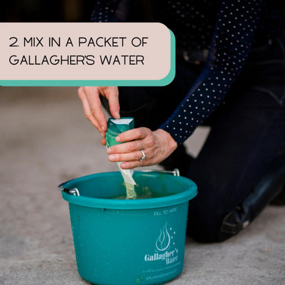 Gallagher&