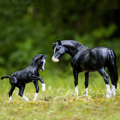 Breyer® Nistar Blazing Kansas LOM &amp; GTF Blazing Ethel